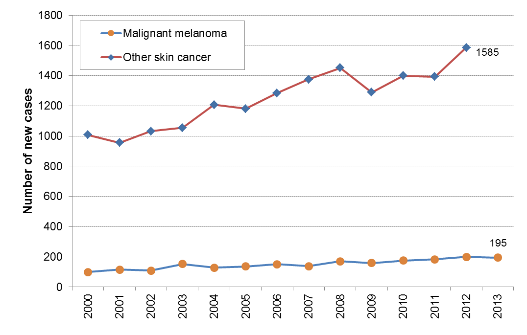 Skin Cancer Somerset Intelligence The home of information and